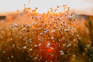 Aligning with the Seasons: Ways to Welcome in Spring
