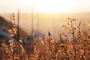 Grounding into Fall