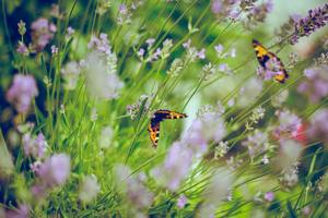 Embodying Change