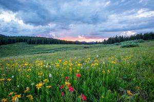 Grounding into Spring