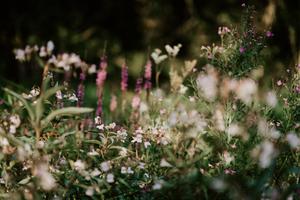 Earth Day, Taurus Season and Getting More Resourced in an Ever Shifting World